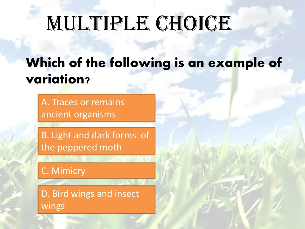 multiple choice