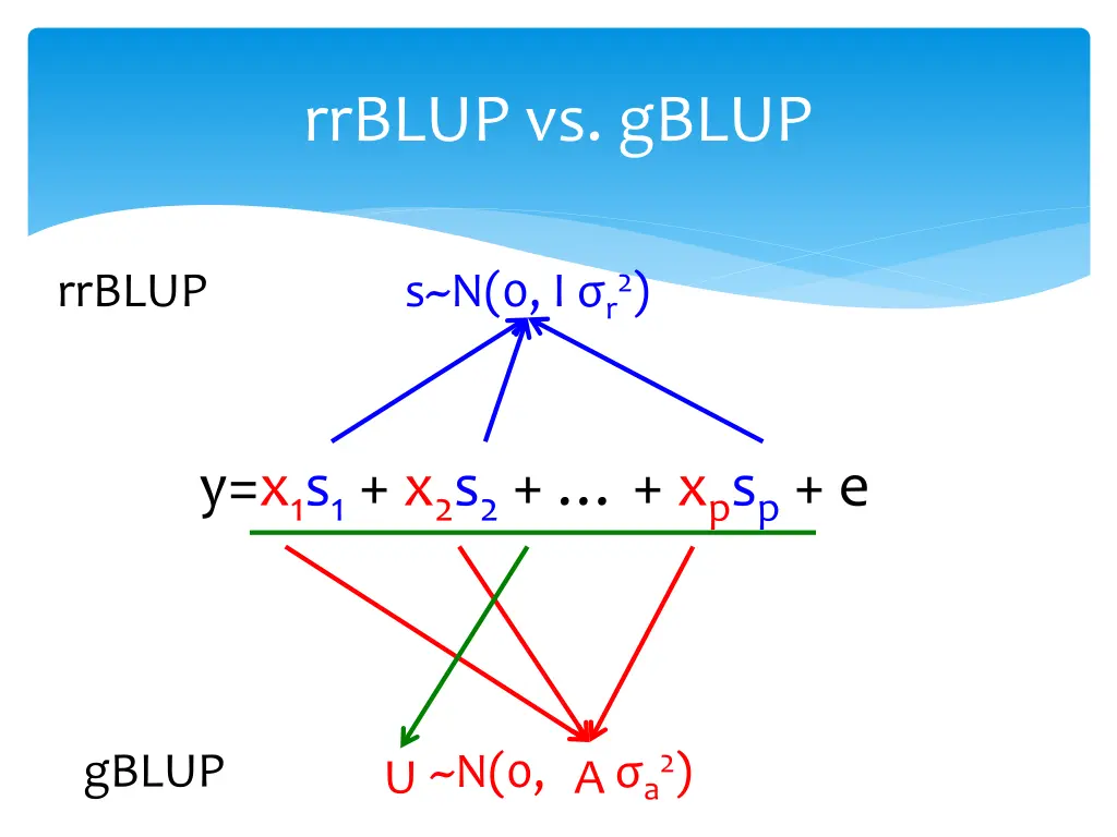 rrblup vs gblup