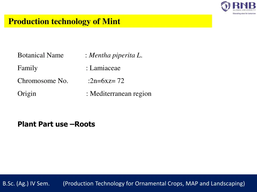 production technology of mint 1