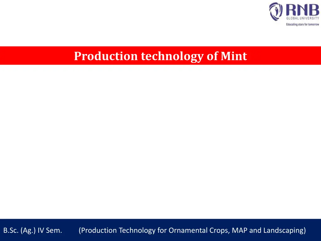 production technology of mint