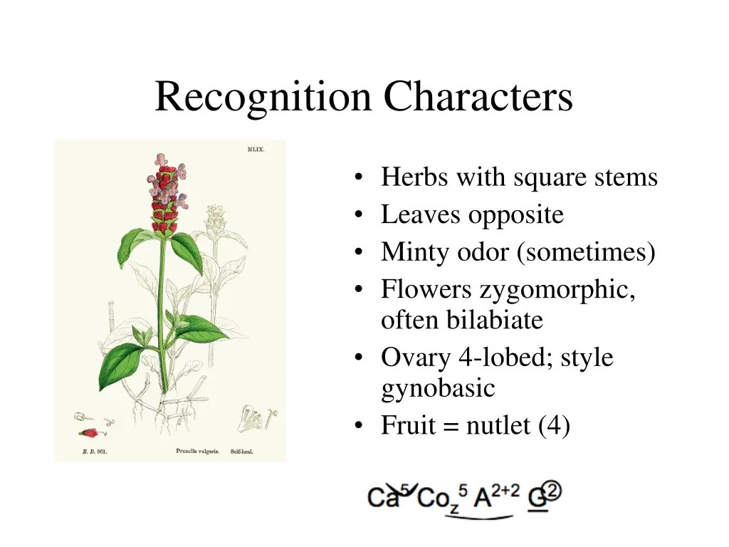 recognition characters