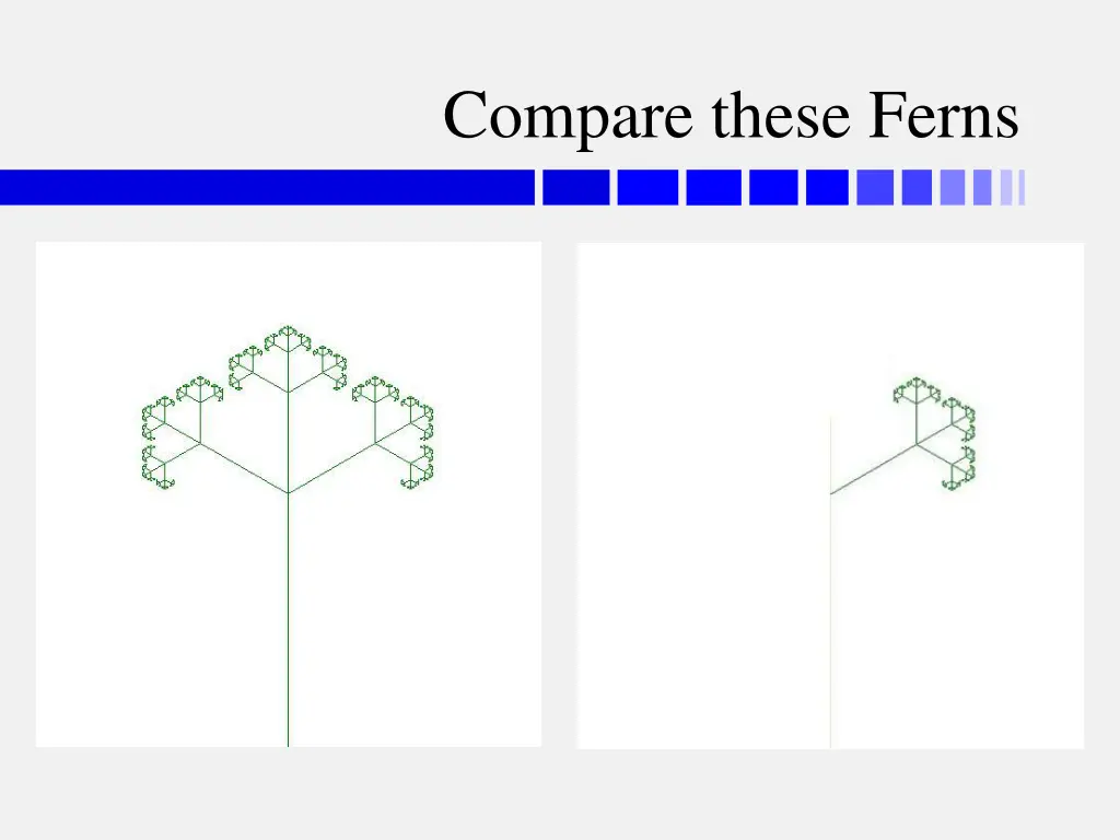 compare these ferns