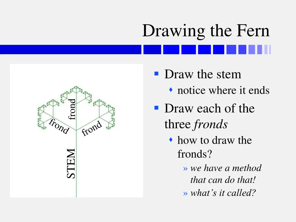 drawing the fern 1