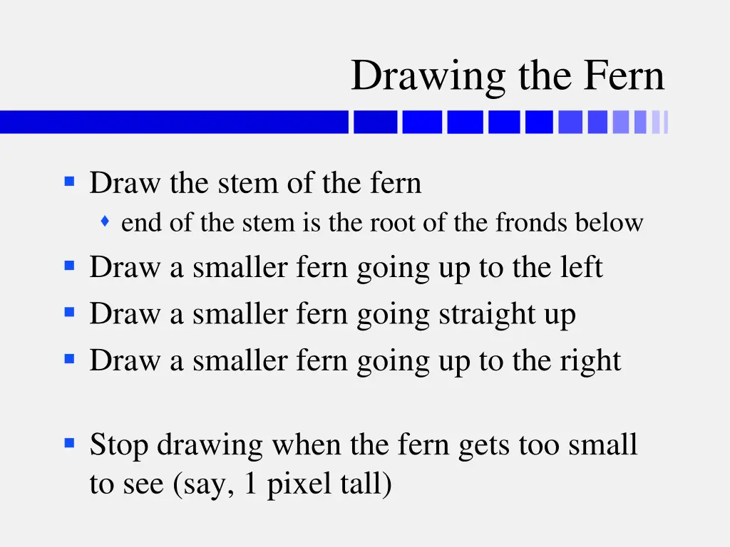 drawing the fern 2