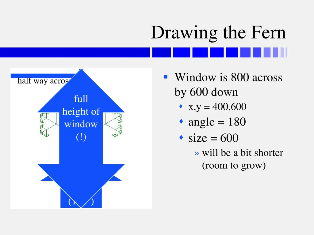 drawing the fern