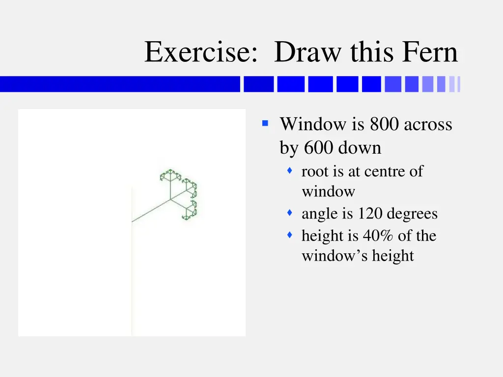 exercise draw this fern