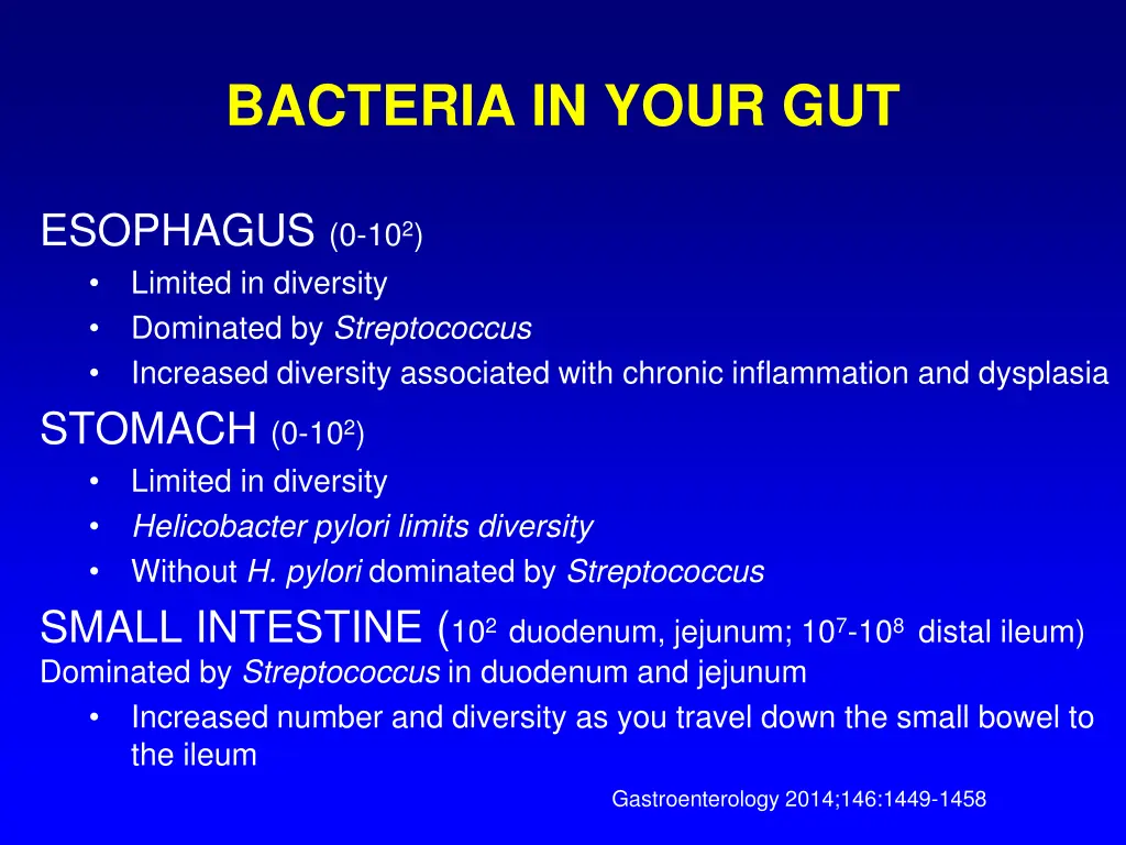 bacteria in your gut 1