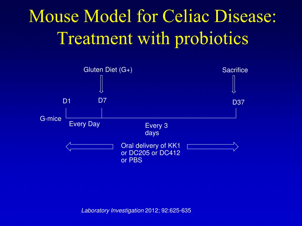 mouse model for celiac disease treatment with