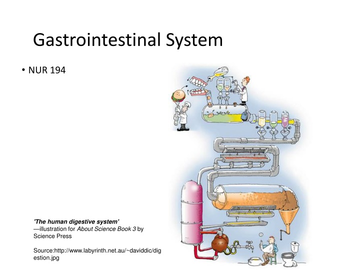 gastrointestinal system