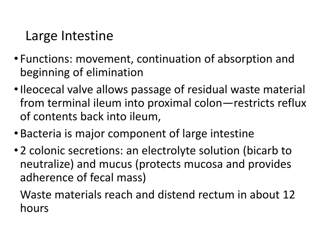 large intestine