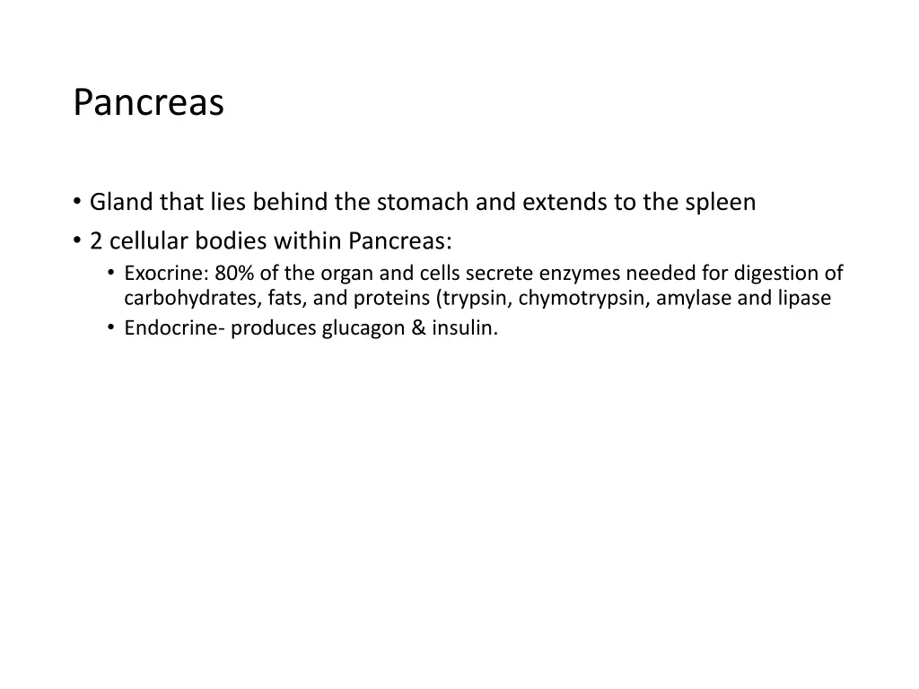 pancreas