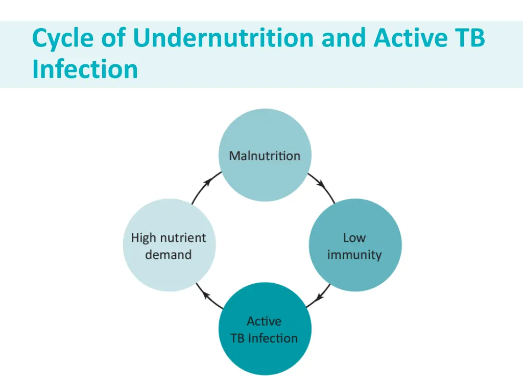 cycle of undernutrition and active tb infection