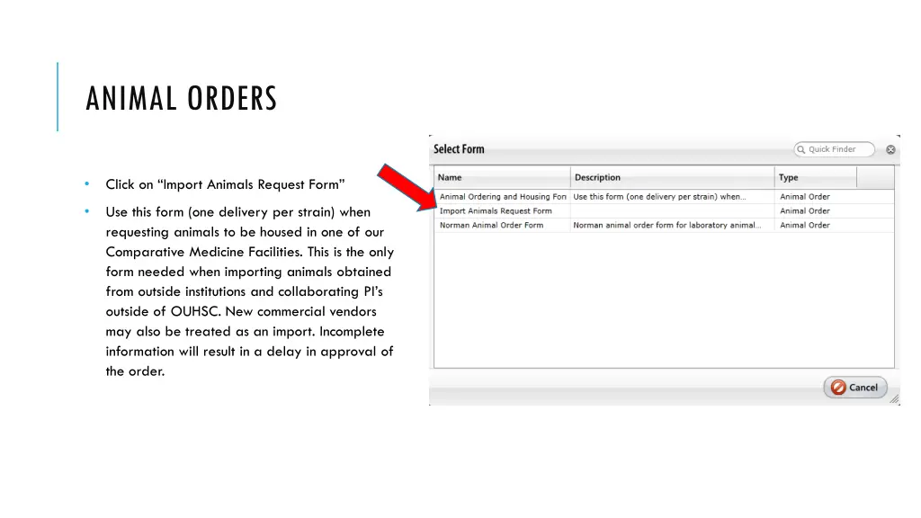 animal orders 1