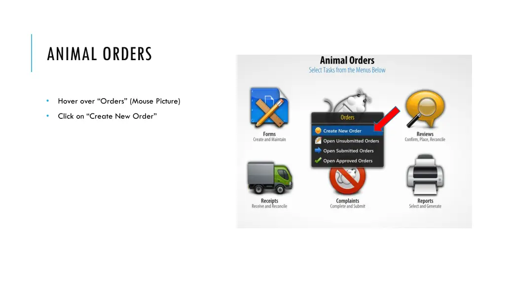 animal orders