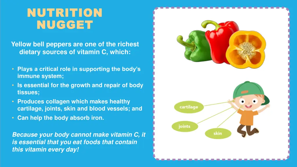 nutrition nutrition nugget nugget