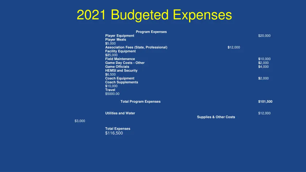 2021 budgeted expenses