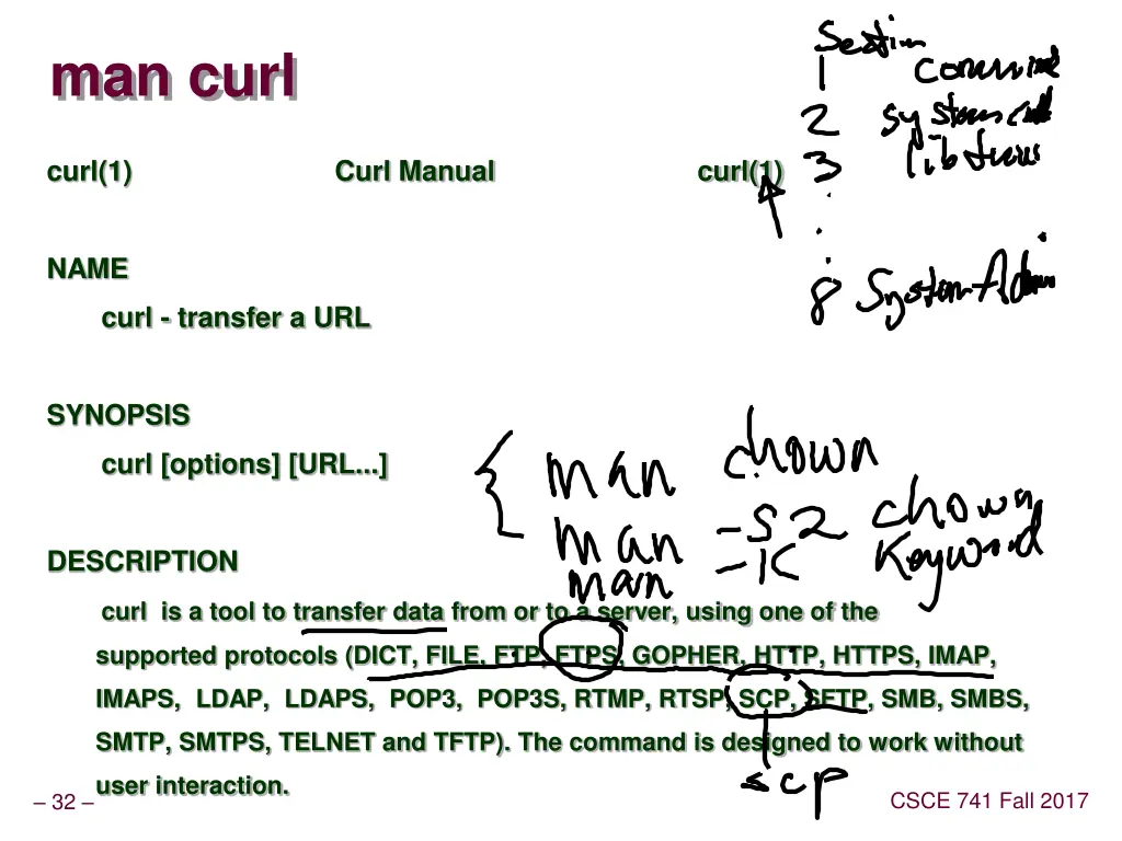 man curl