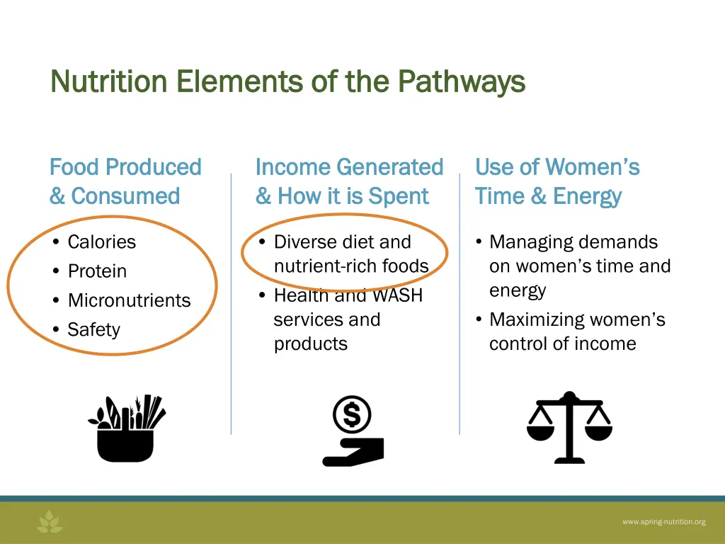 nutrition elements of the pathways nutrition