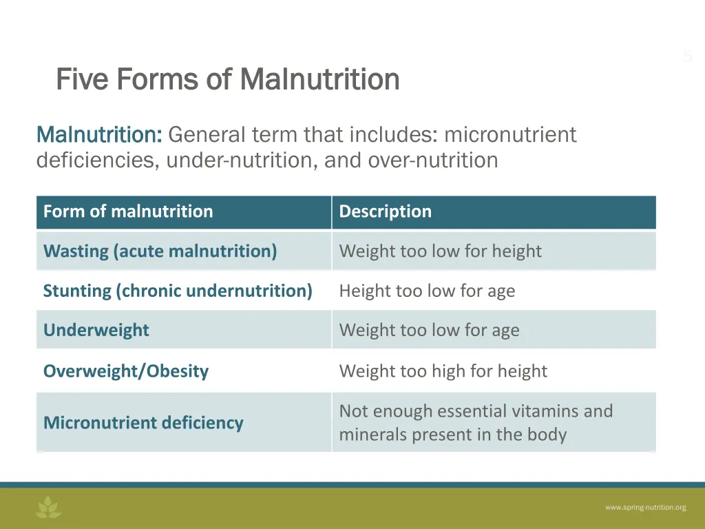 slide5