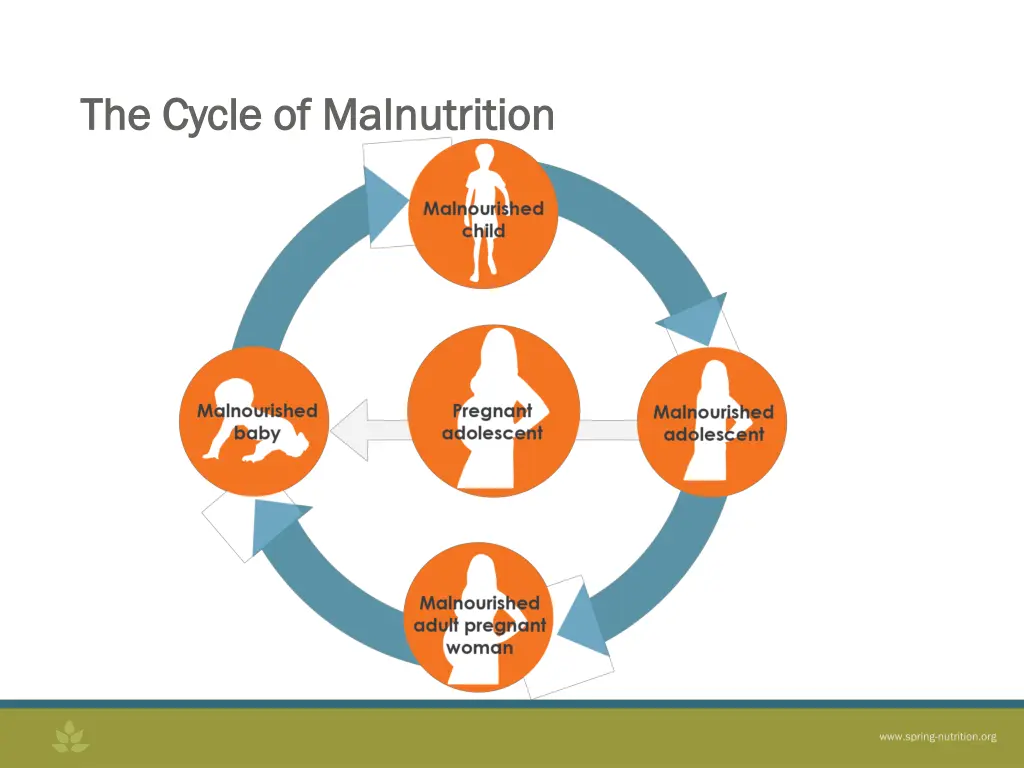 the cycle of malnutrition the cycle