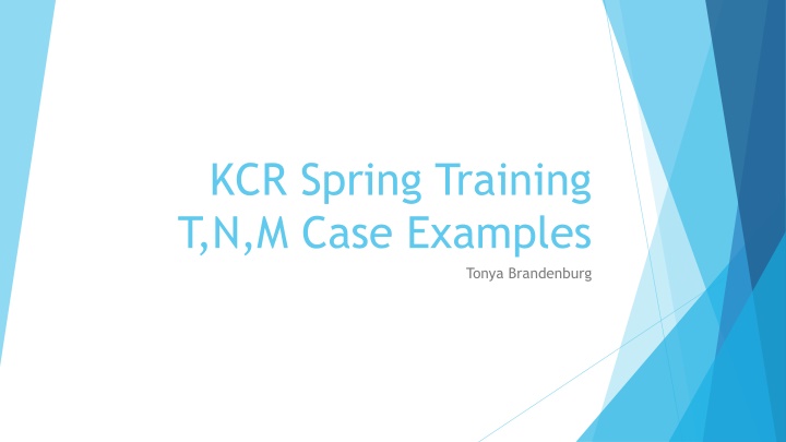 kcr spring training t n m case examples