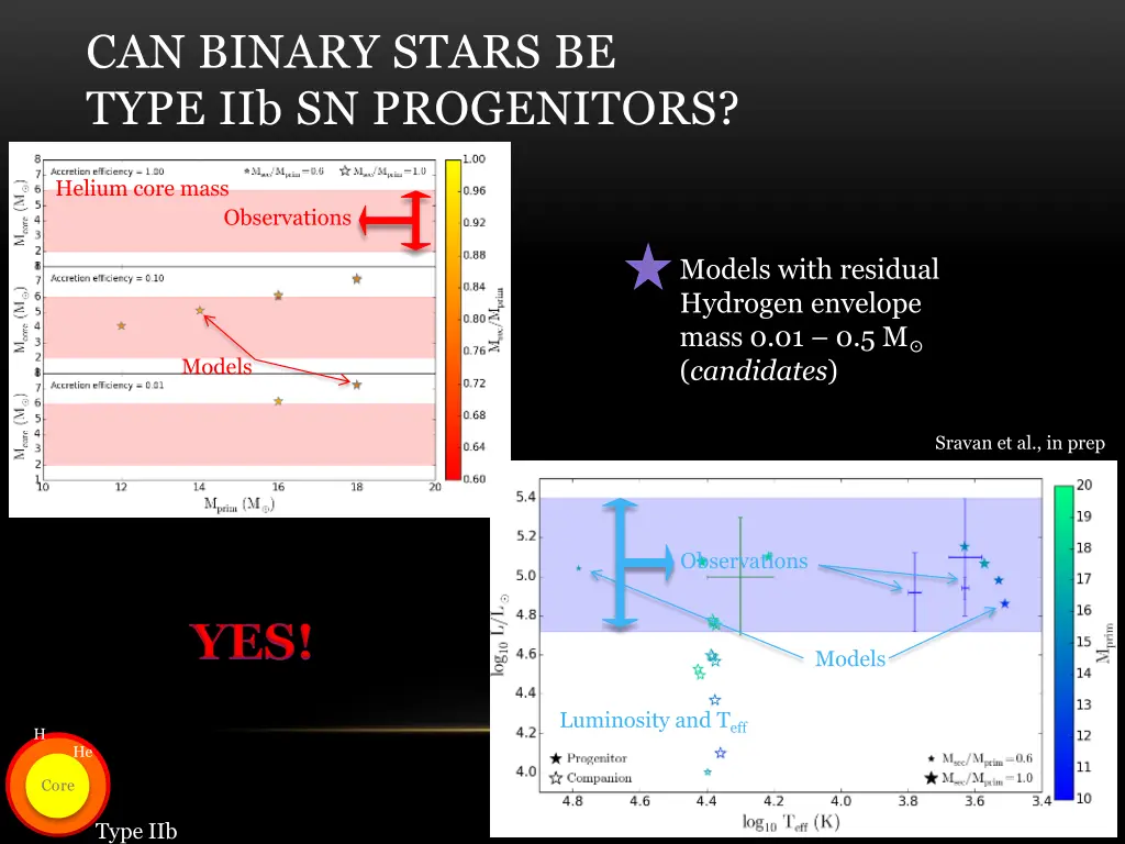 can binary stars be type iib sn progenitors