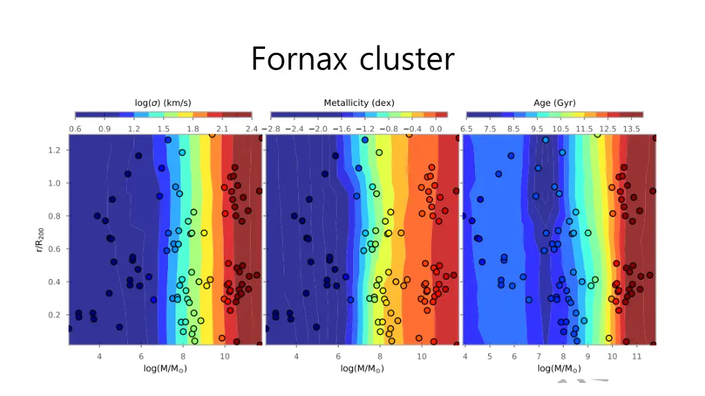 fornax cluster