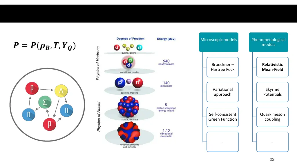 microscopic models