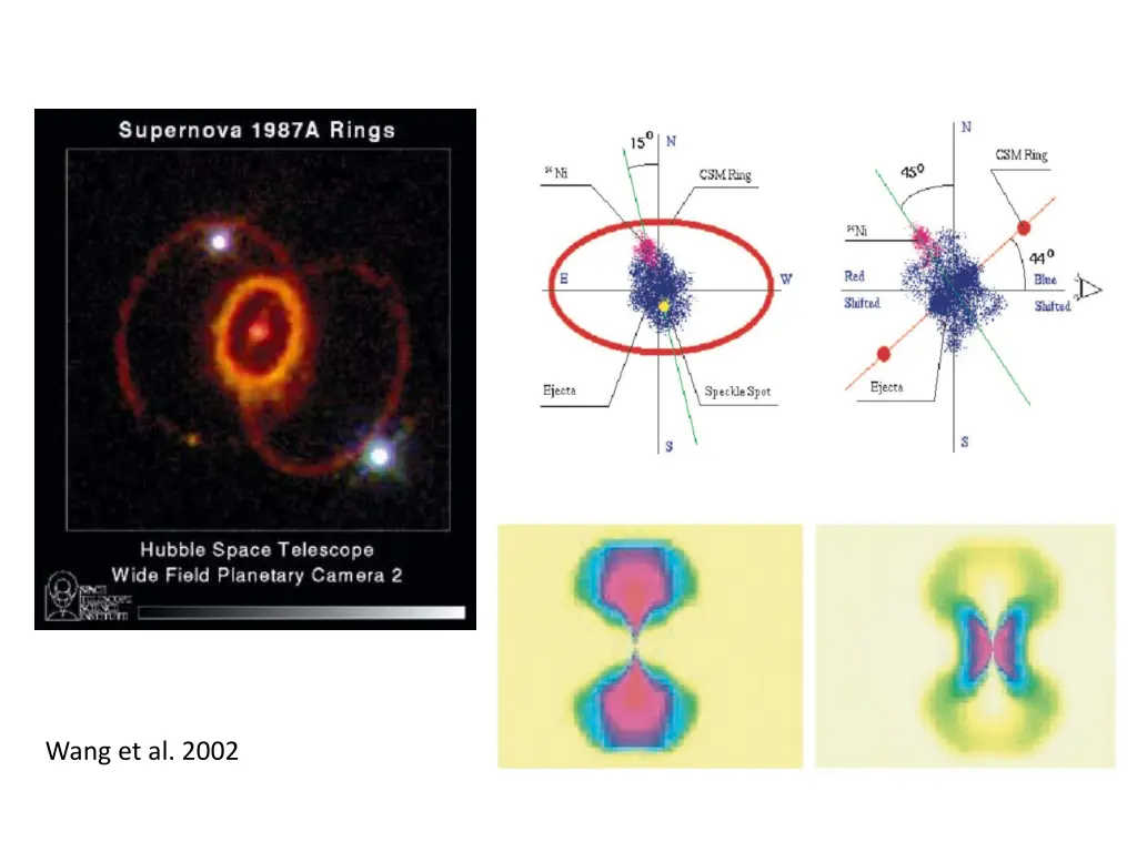 wang et al 2002