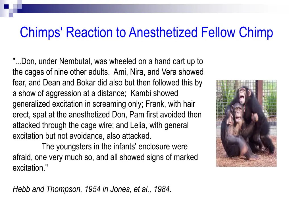 chimps reaction to anesthetized fellow chimp