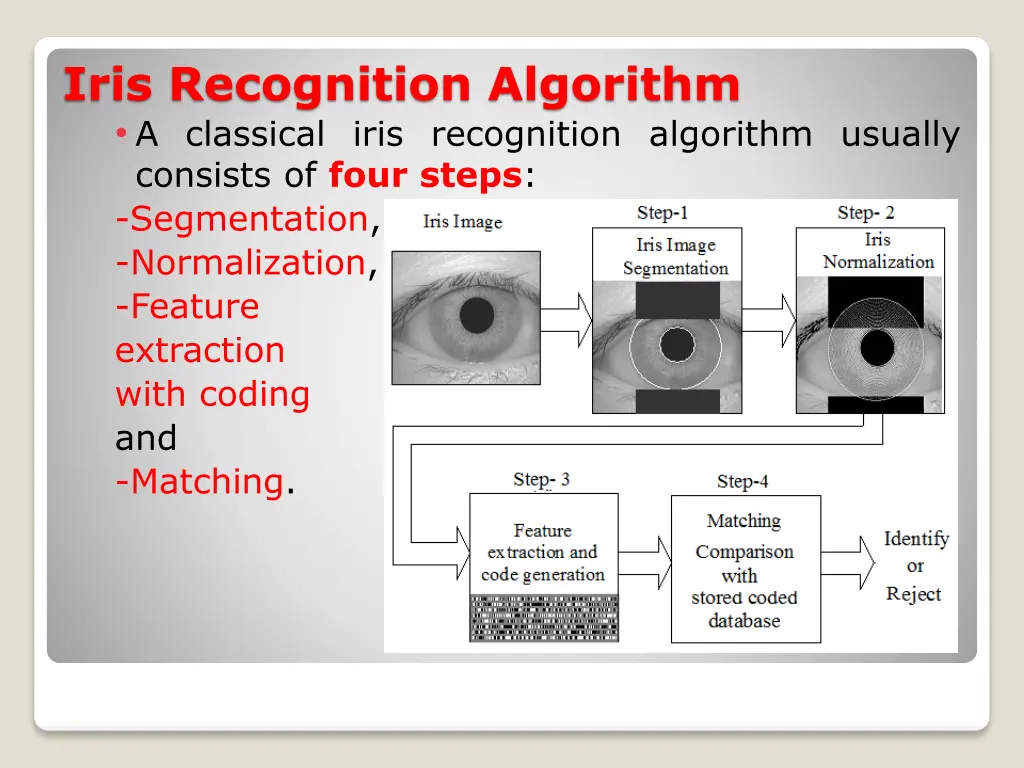 iris recognition algorithm a classical iris