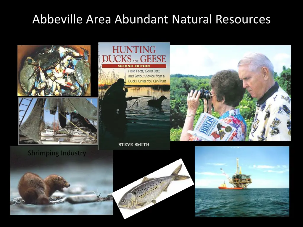 abbeville area abundant natural resources