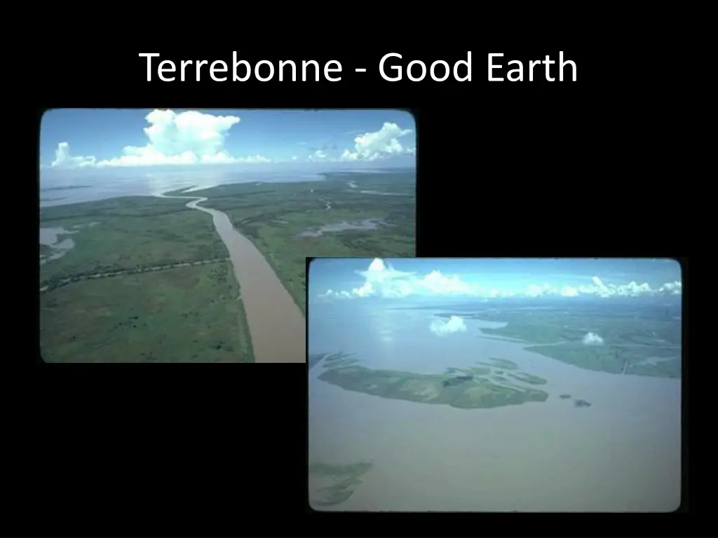 terrebonne good earth