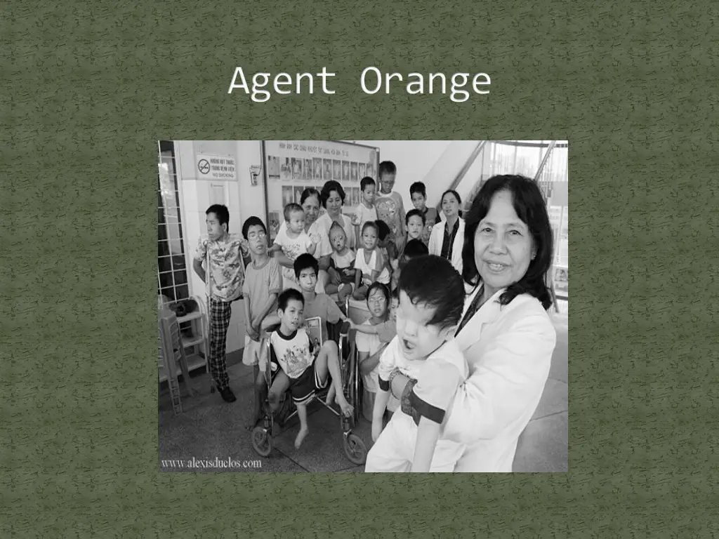 agent orange 1