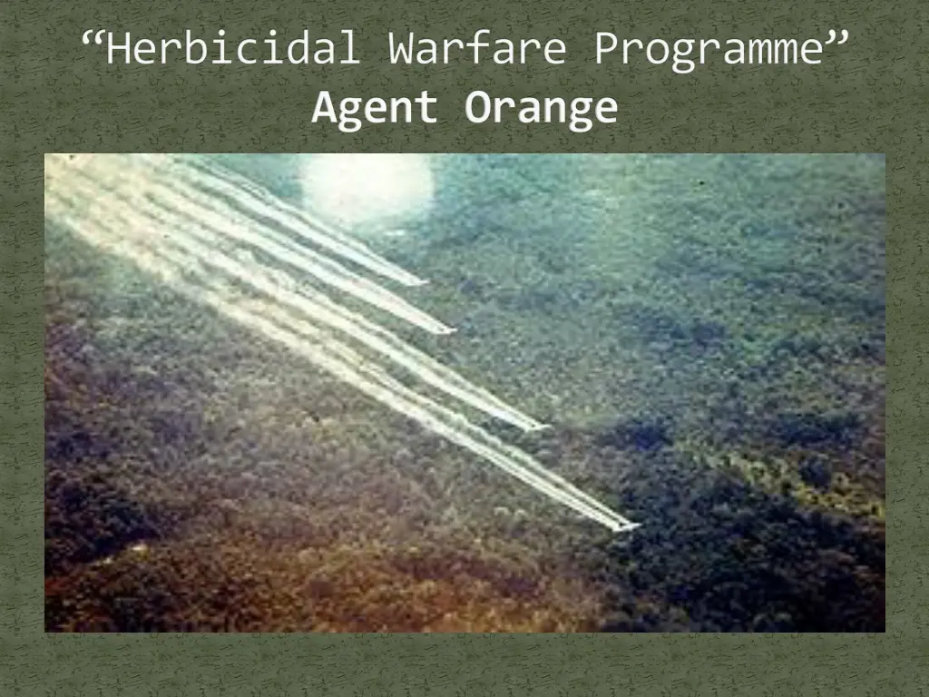 herbicidal warfare programme agent orange