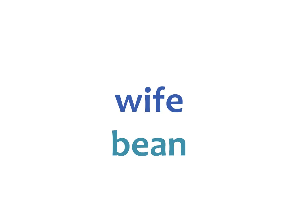 wife bean