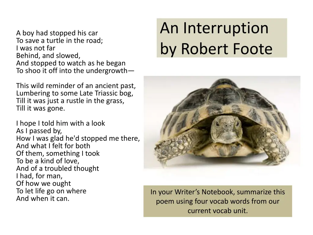 an interruption by robert foote