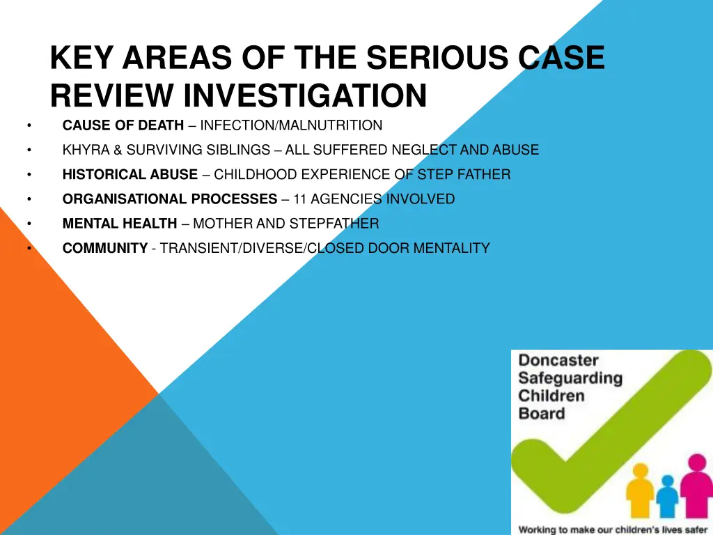 key areas of the serious case review