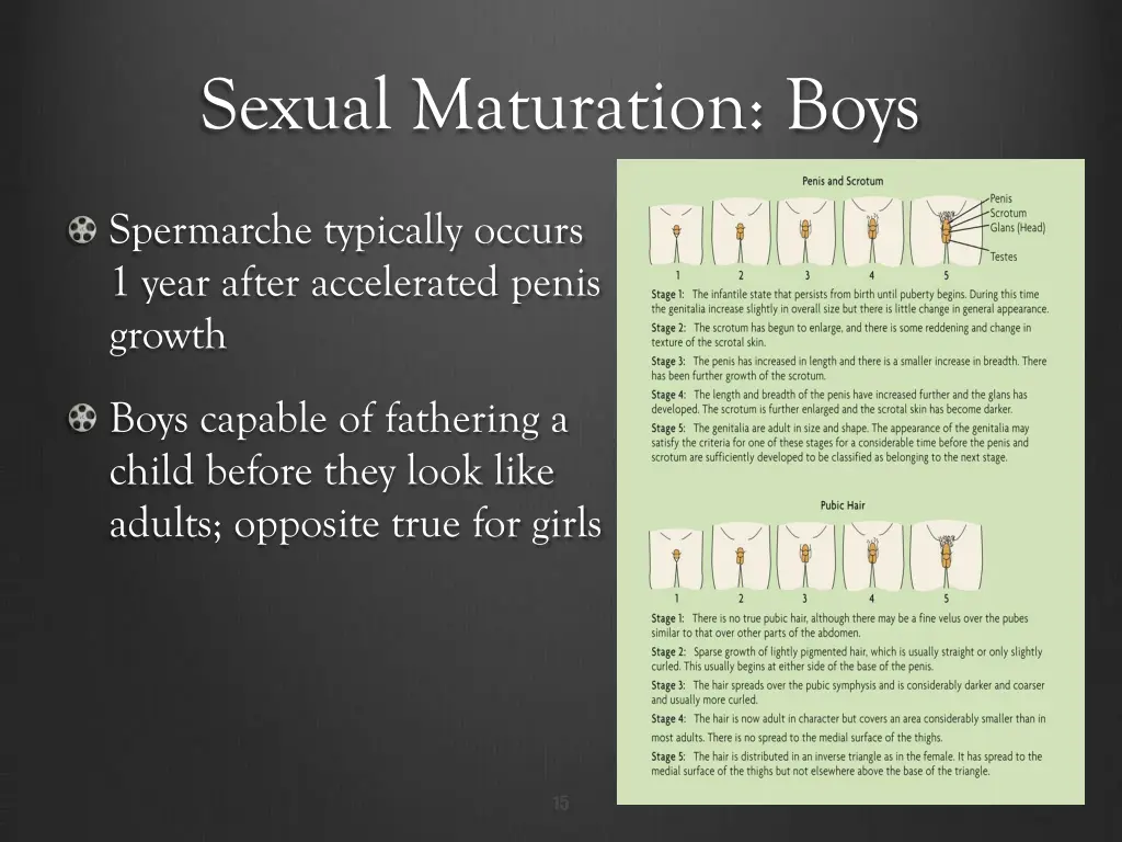 sexual maturation boys