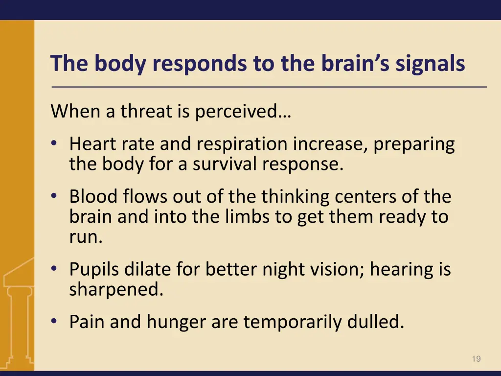 the body responds to the brain s signals