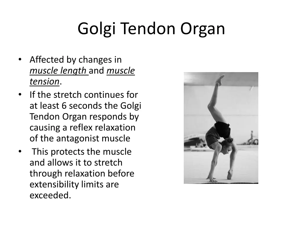 golgi tendon organ