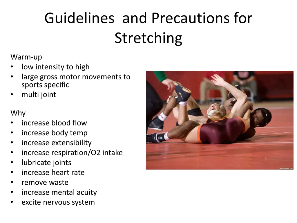 guidelines and precautions for stretching