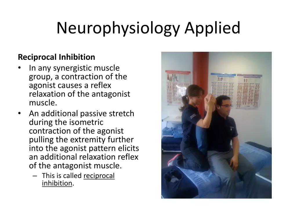 neurophysiology applied 2