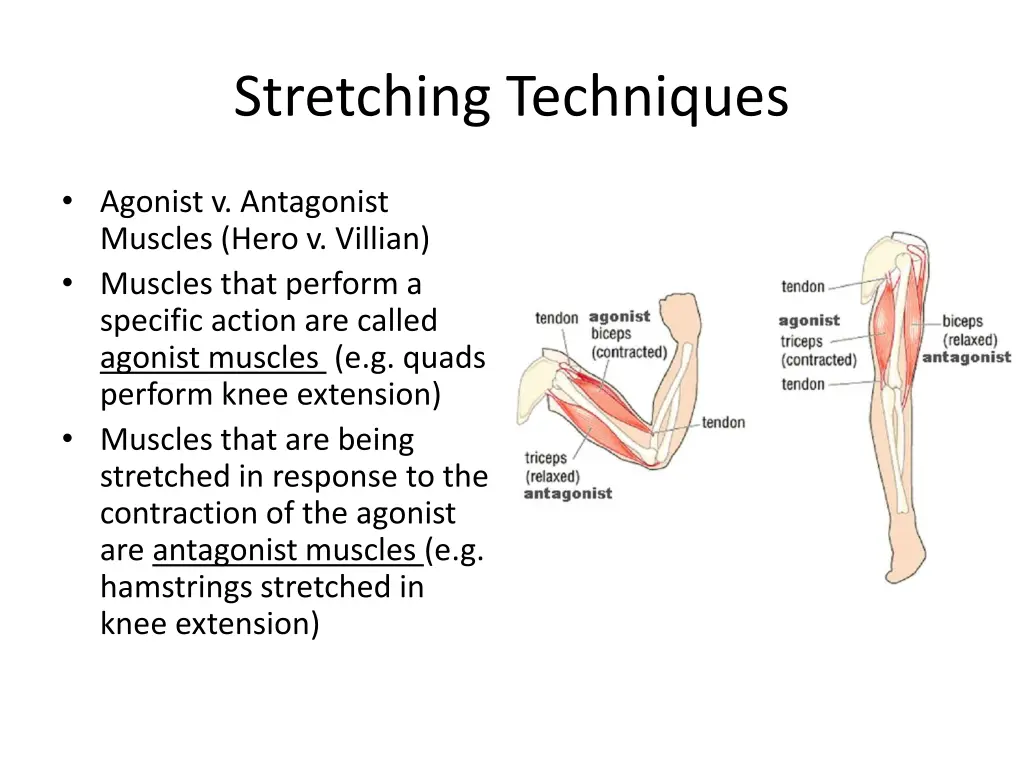 stretching techniques 1