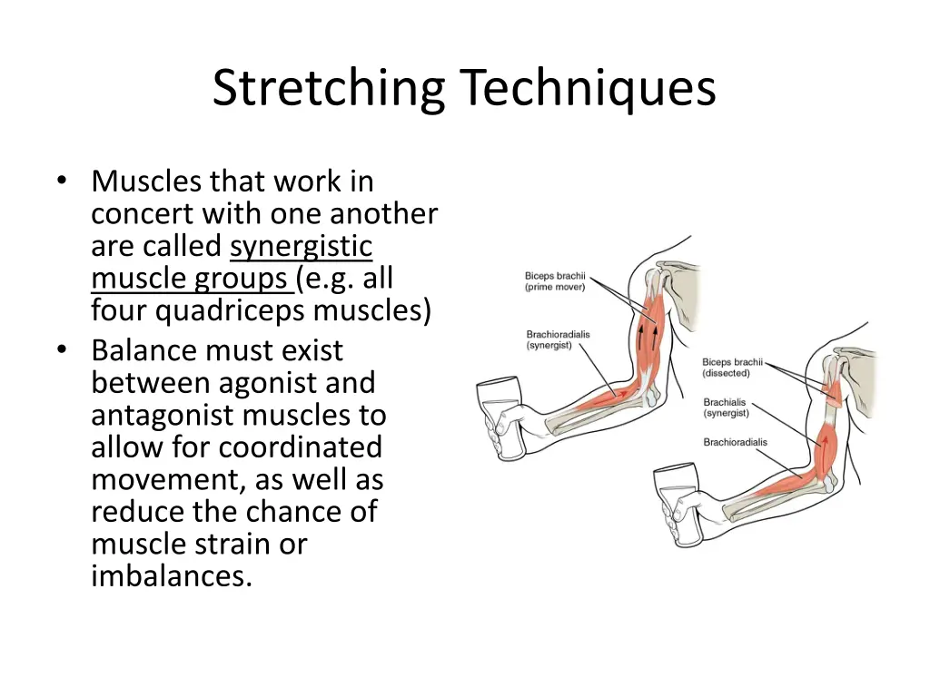 stretching techniques 2