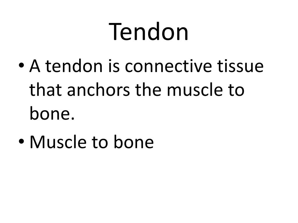 tendon