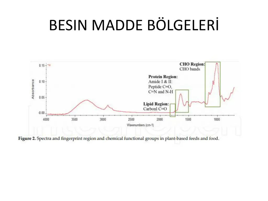 besin madde b lgeler