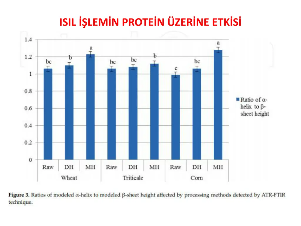 isil lem n prote n zer ne etk s