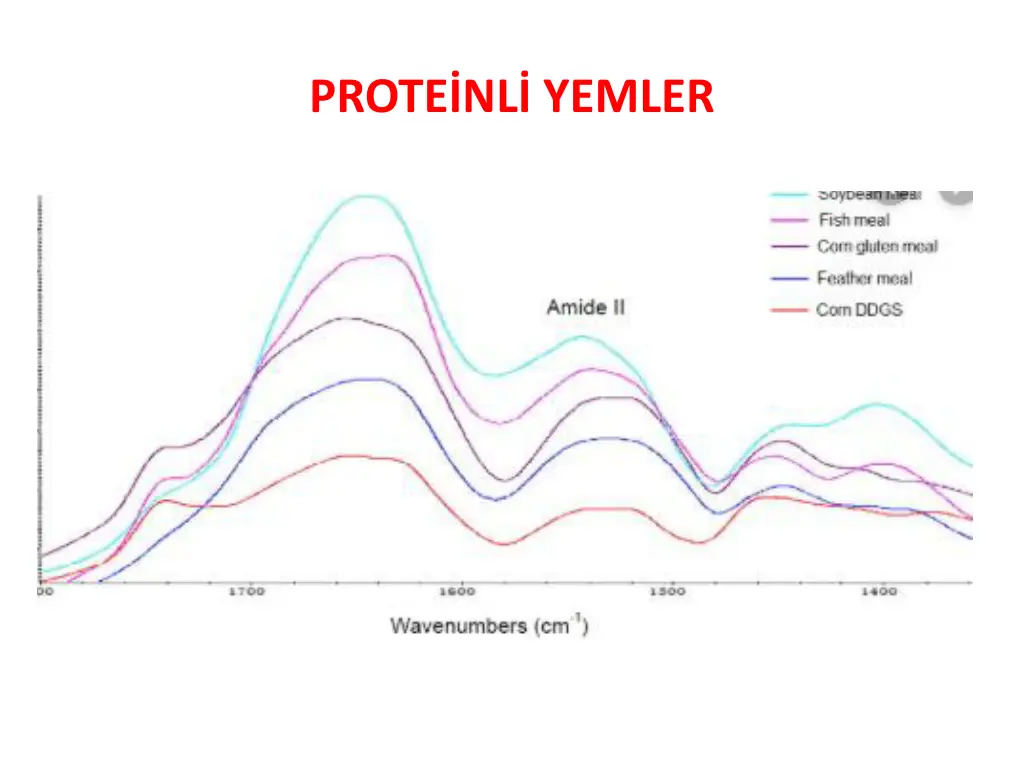 prote nl yemler