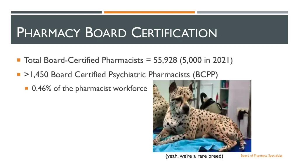 p harmacy b oard c ertification